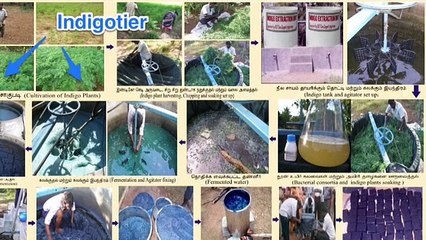 Synthèse Indigo: Overview and Insights