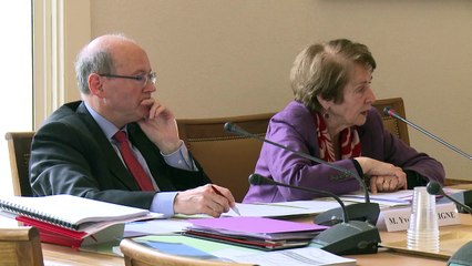 [Entretien] Présentation du rapport sur la PMA et la GPA