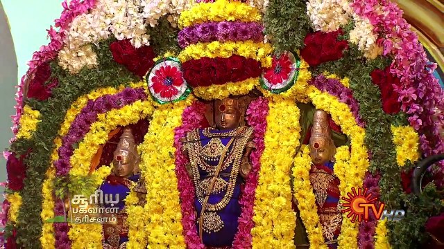 Pongal Special Sooriya Bhagavan Dharisanam | Dt 15 01 16 | Sun TV