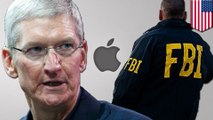 Tim Cook says Apple ain't building a backdoor for the Feds in San Bernardino case