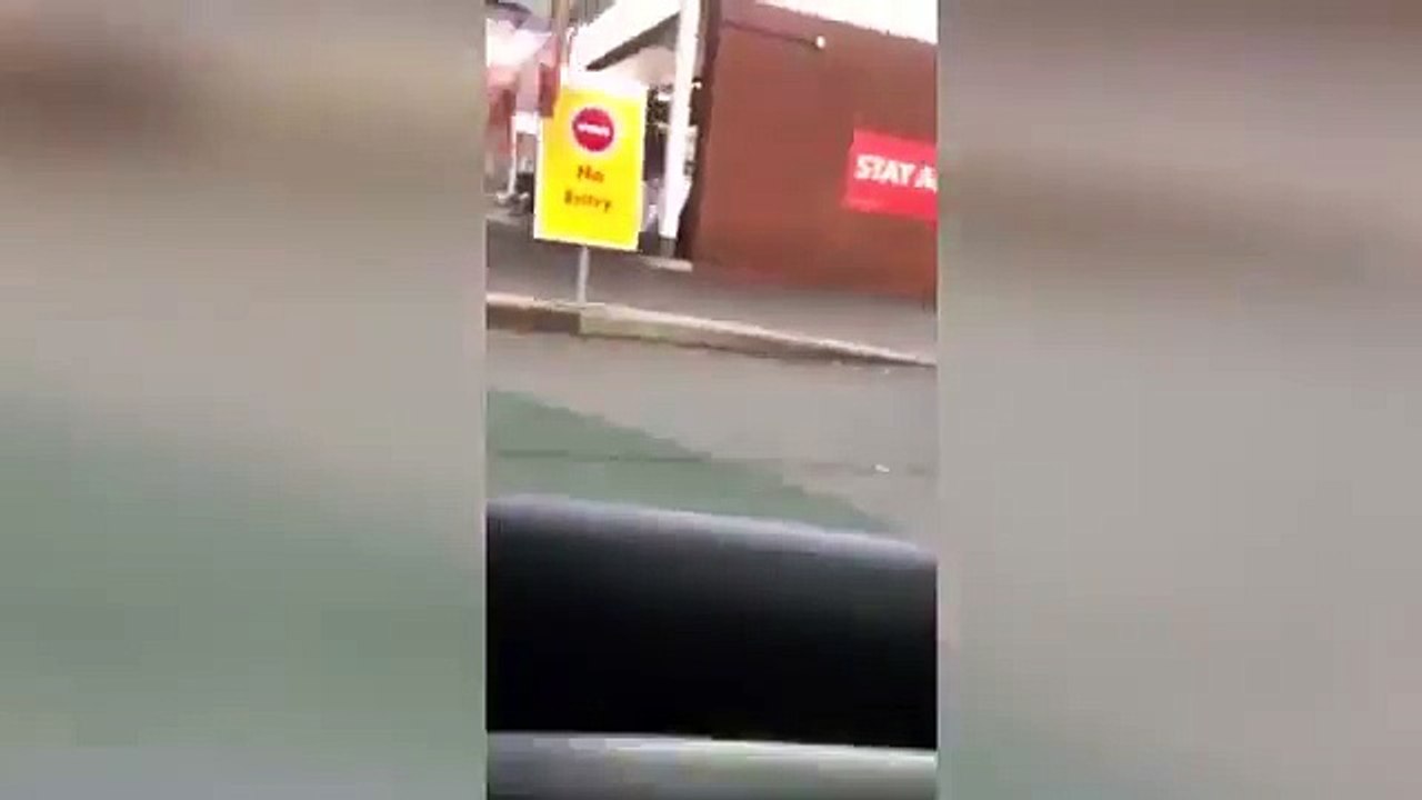 Elle promène son "homme" en laisse car elle « adore humilier les hommes »