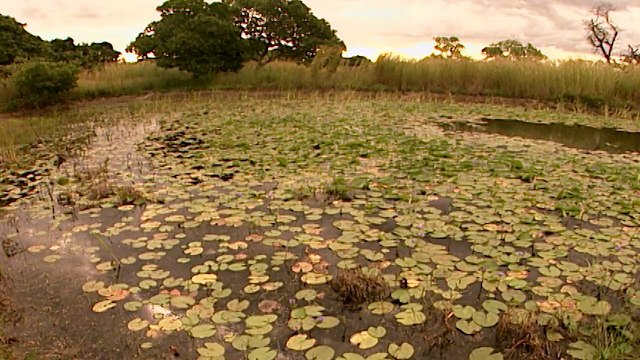 Mozambique - Life after death - Now in High Quality! (Full Documentary)