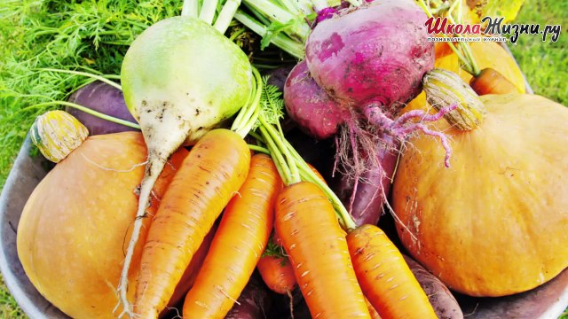 Какие Вам Нужны Обереги-