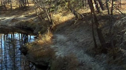 바카라오토ぷ▽..TNT900、COM..◐ま바카라 배팅だ바카라트