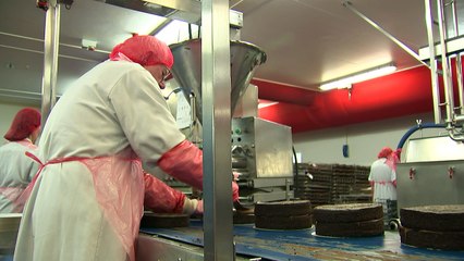 EU migrants say they aren't coming to the UK for benefits