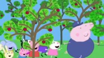 Peppa Pig English Episodes 2015 - Movies 2015 Animation Disney - Cartoons Children Films For