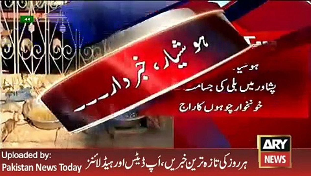 ARY News Headlines 18 February 2016_ 8th Month Child Exprie by Mouse cut