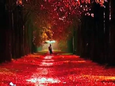 Ajda Pekkan Dert bende derman sende