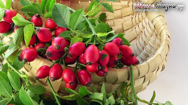 Сахарный Диабет. Как снизить Уровень Сахара В Крови Народными Средствами-