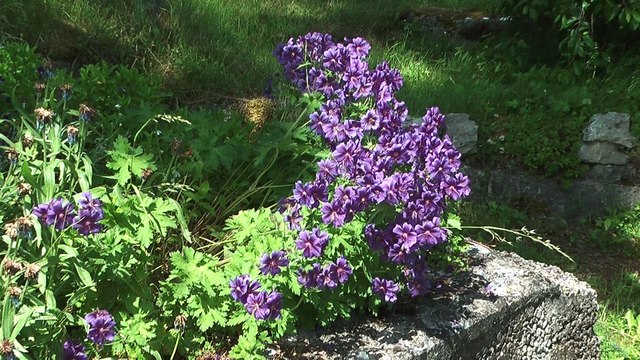 Bande annonce du Pays de Lozère Historique 2016