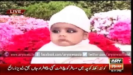 Dangerous Rats Killed Little Child In Peshawar - Be Careful