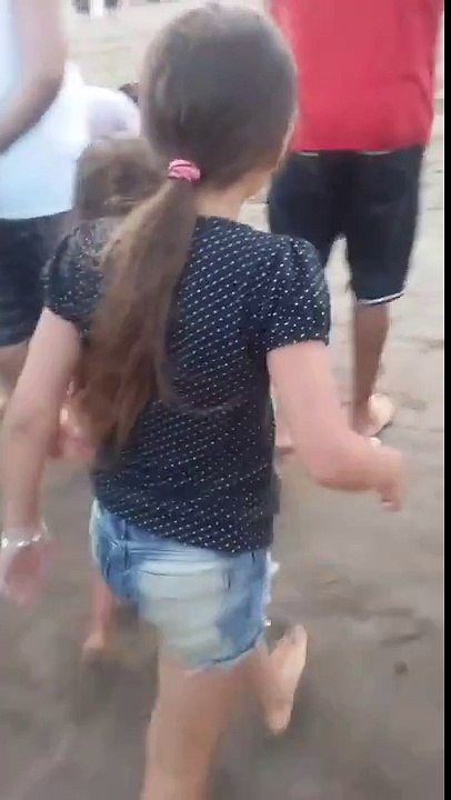 Argentine: Un dauphin meurt de déshydratation sur une plage après les selfies pris par des touristes