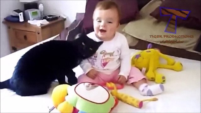 Смешное Видео с Кошками 2015! Самое лучшее! Забавные кошки. №5