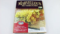 How to grow Shiitake Mushrooms