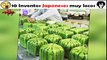 10 inventos muy locos de Japon