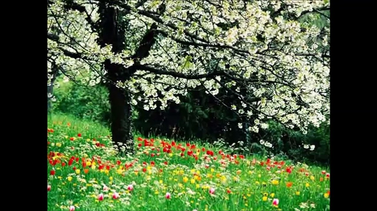 Adagio  مِن أَجْلِ عَيْنَيك