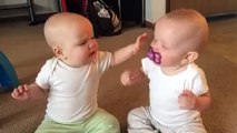 Twin baby girls fight over pacifier