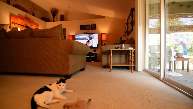 Я не знаю что это за прелесть, но я тоже токого хочу