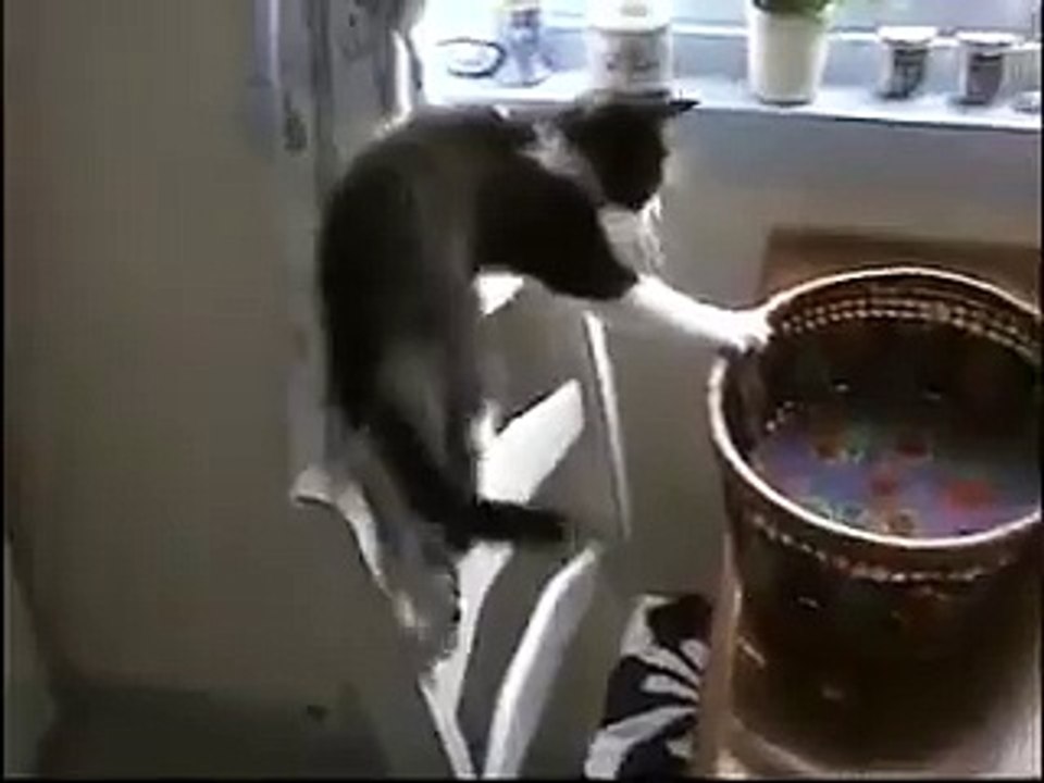 Next time open your minde.