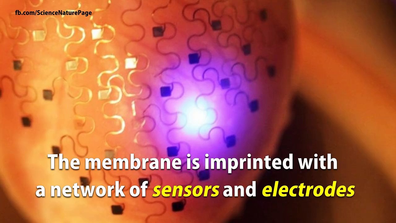 New technology Beating Heart