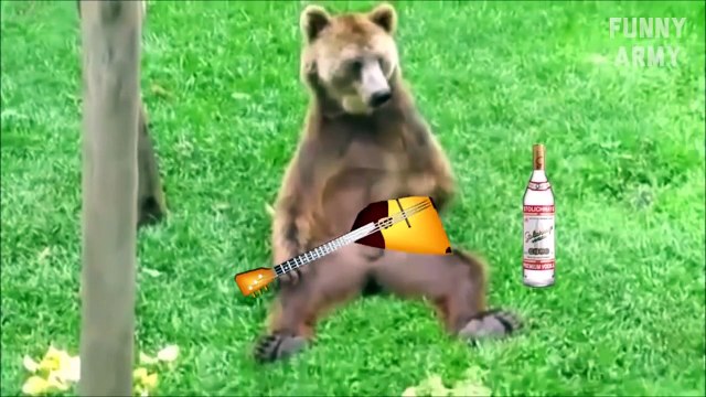 Funny videos 2016 Try not to laugh or Grin (Challenge Impossible) - Funny Pranks - LOL FUNNY ARMY