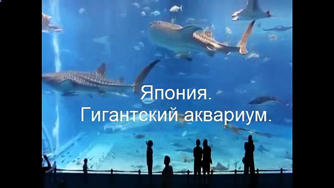 Япония.Гигантский аквариум