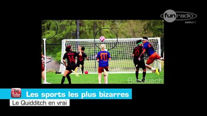 zap sports bizarres