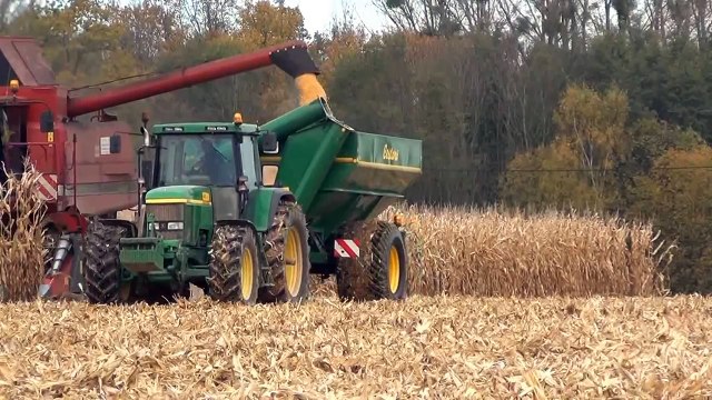 CASE IH Axial 2388 et 1680 à la moisson du maïs dans la Marne
