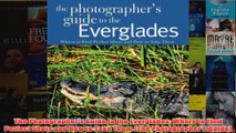 Download PDF  The Photographers Guide to the Everglades Where to Find Perfect Shots and How to Take FULL FREE