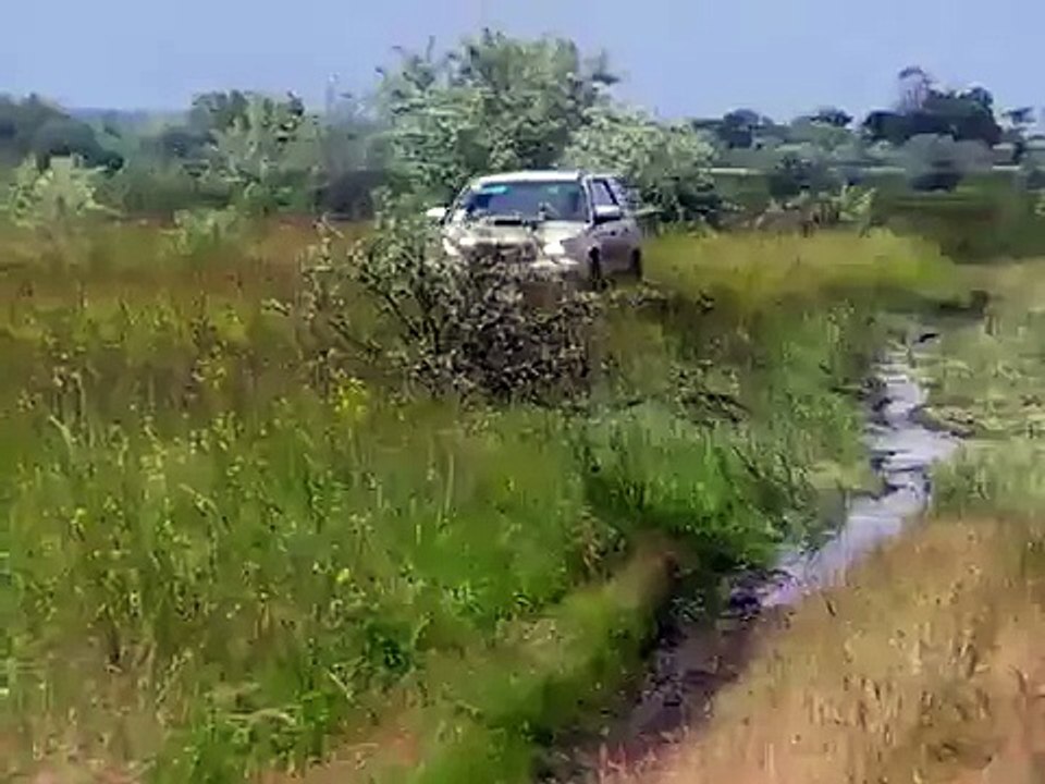 Subaru Forester Off Road 2015. Subaru off road in mud