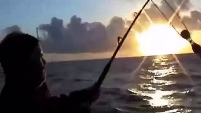 Барракуда.Атака на рыбу