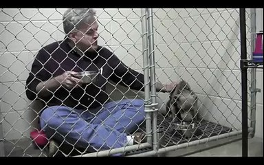 Un vétérinaire mange dans une cage avec un chien craintif