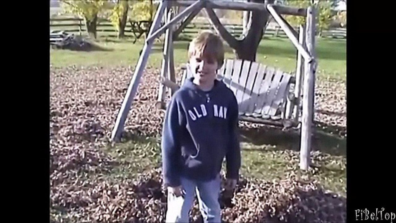 Смешное видео про животных