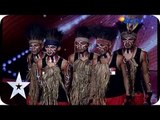 Energetic Traditional Dance from Papua - Koteka - AUDITION 2 - Indonesia's Got Talent [HD]
