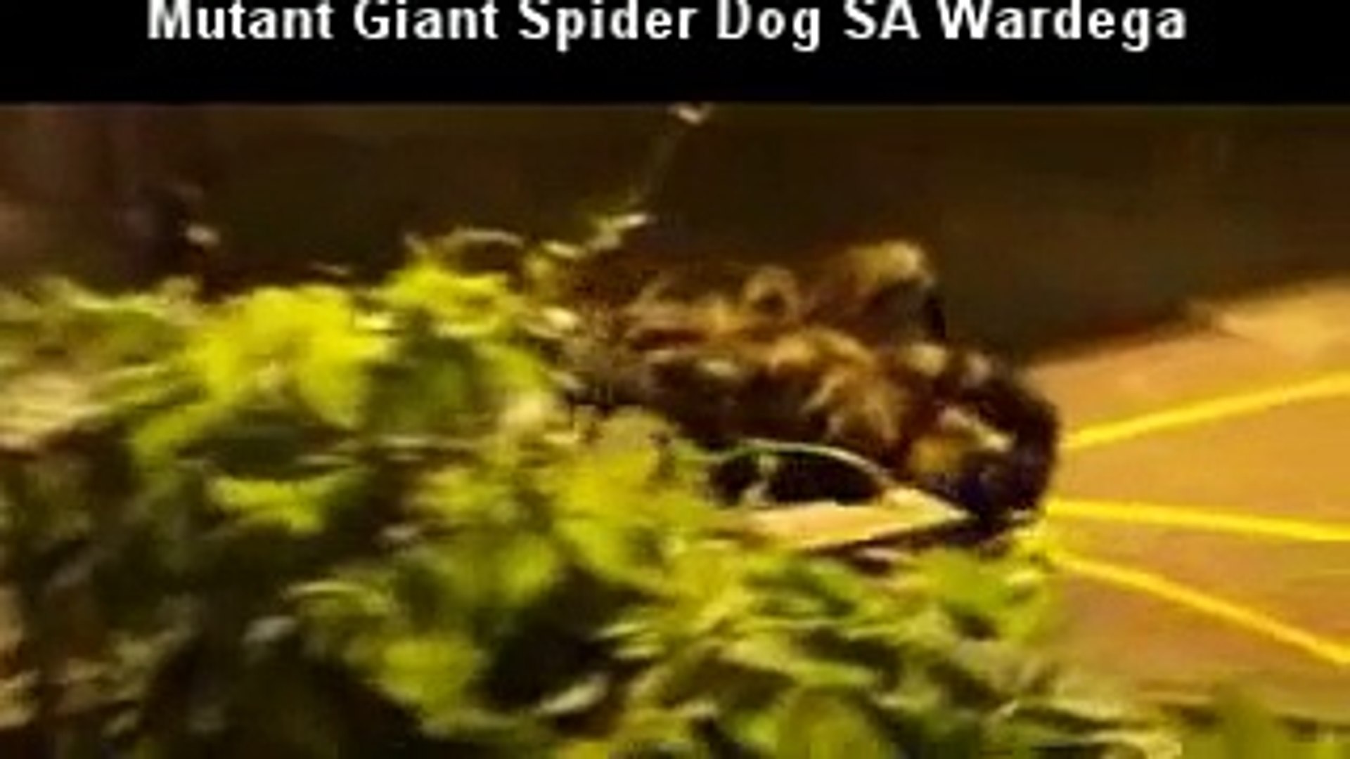 Mutant Giant Spider Dog Very Funny Prank Video By Sa Wardeg Mutant Giant Spider Dog Dailymotion Video