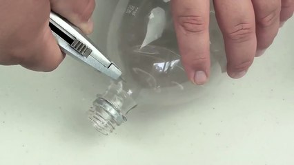 How to make the perfect Fly Trap