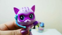 Kötü Kedi Şerafettin Sürpriz Yumurta Oyun Hamuru - Chubby Puppies Paw Patrol Furby Toy3