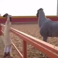 Don't mess with angry horse-Top Funny Videos-Top Prank Videos-Top Vines Videos-Viral Video-Funny Fails