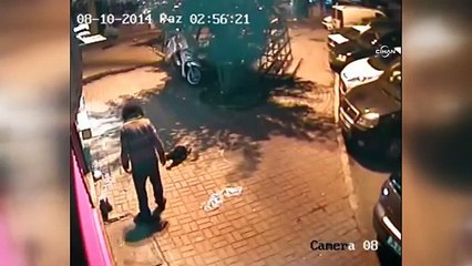 Kedi yavrularını acımasızca katletti (+18)