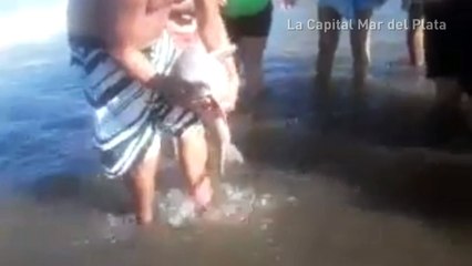 Dolphin dies in Argentina after being manhandled