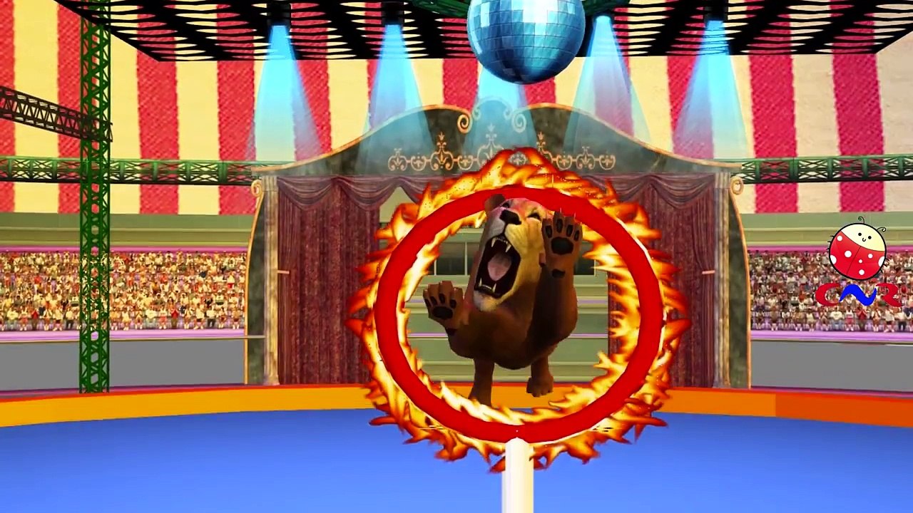 Lion Vs Tiger And Lion Vs King Kong Cartoons for Children Singing Finger Family Nursery Rh