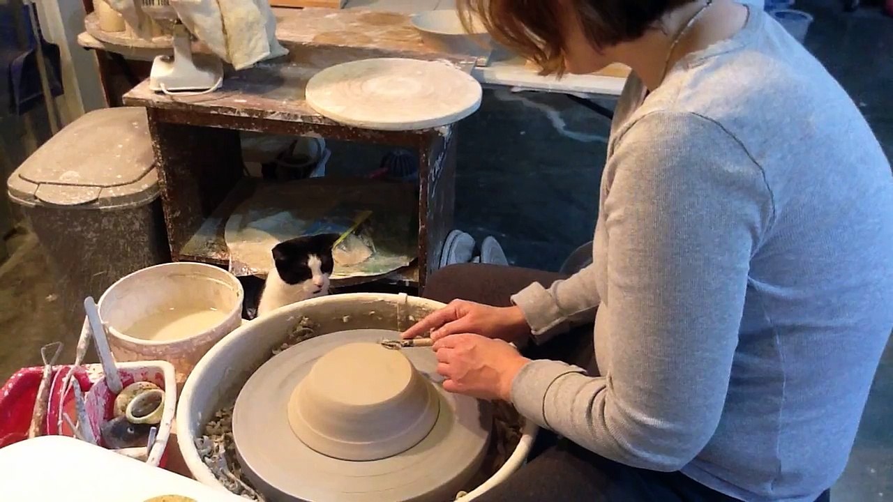 Cat Tries to Help Owner Make Pottery