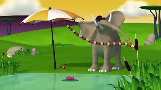 Funny Animals Cartoons Compilation for Kids, Babies and Toddlers