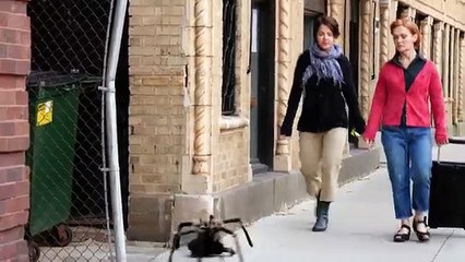 Big Spider Attack In The City Prank - 4K (Reality Pranks 4k)