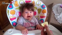 Baby Eats Lemon - A Babies Eating Lemons For The First Time Compilation 2016 -- NEW HD