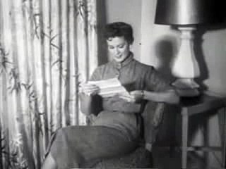 1955 DeSoto Commercial