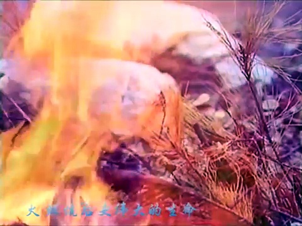 JS-殺破狼(仙劍一片頭曲)-高清原創版