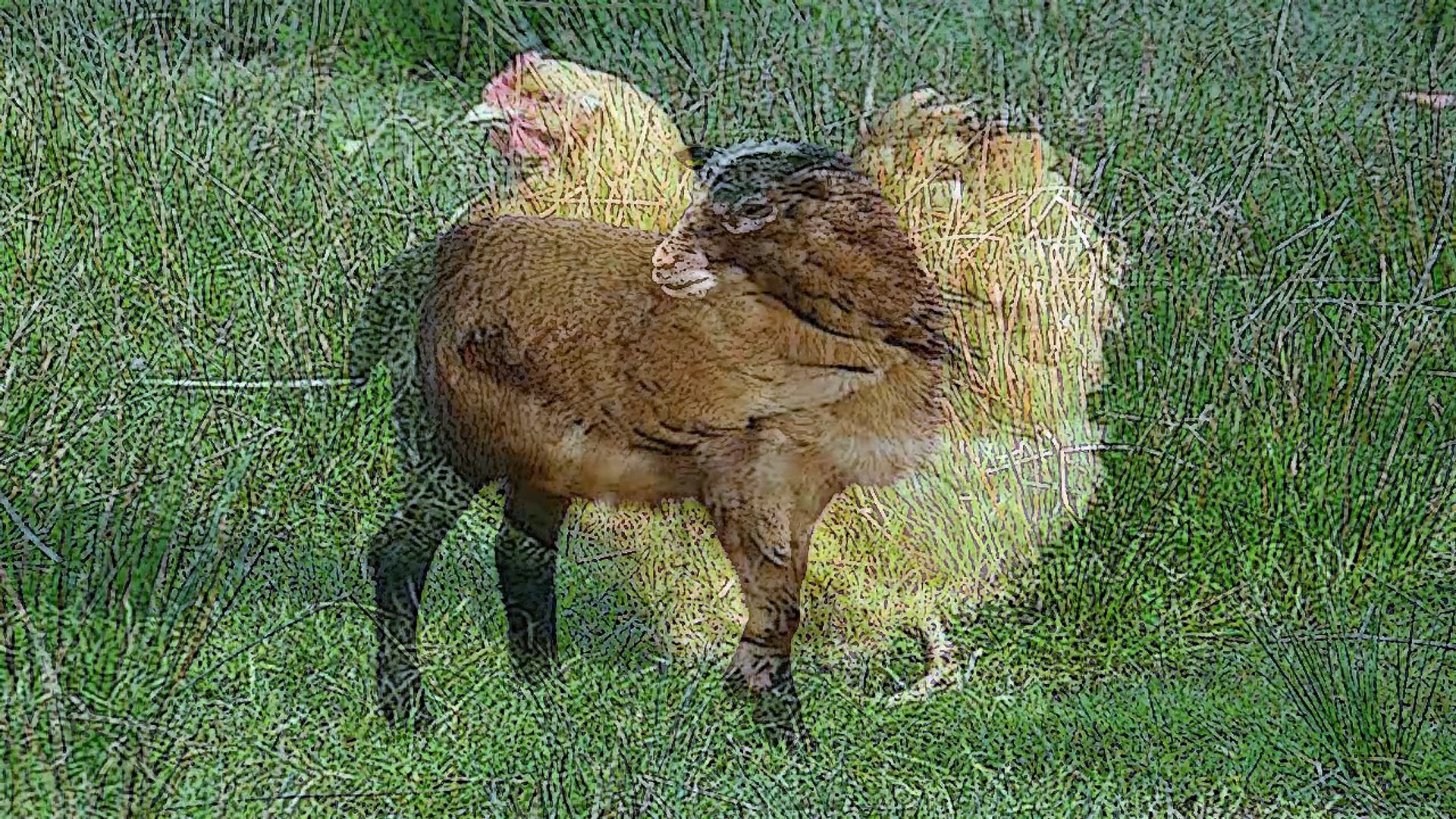 ⁣Какие звуки издают животные. Обучающие и развивающие мультики.