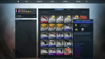 CS-GO   Unboxing 5 Knives