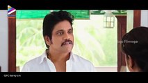 Soggade Chinni Nayana Crosses 50 Crores | Latest Trailer | Nagarjuna | Lavanya | Telugu Filmnagar (FULL HD)